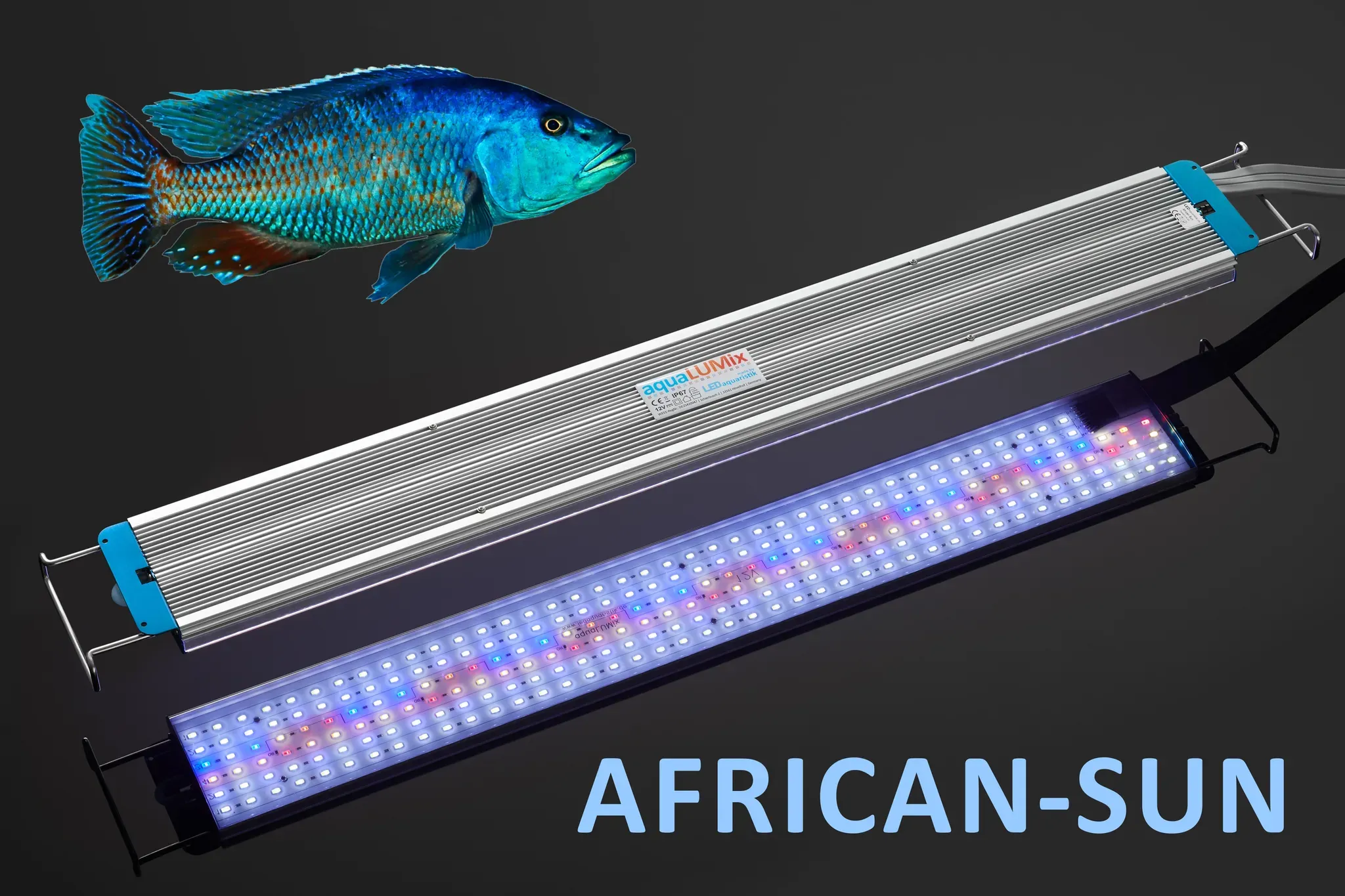 aquaLUMix LED-Leuchte AFRICAN-SUN       24cm