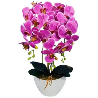 damich Künstliche Orchidee im Topf Gummi - Modell 3pgbb, mit Moos, 60 cm hoch, 3 Stielen mit vielen Blumen (Rosa)