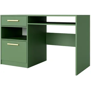 Mirjan24 Schreibtisch Bali II Computertisch Arbeitszimmer, Jugendzimmer, / Flaschengrün - Gold)