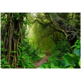 WallArena - Vlies Fototapete Wald Bäume Dschungel Pflanzen Regenwald 368x254 cm - Fototapeten - Tapeten - für Wohnzimmer Schlafzimmer - Vliestapete Wandtapete Tapete 3D Effekt- inkl. Kleister
