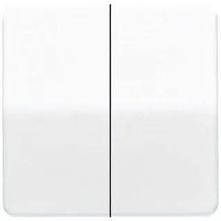 Jung Wippe aws für Taster CD 595 WW