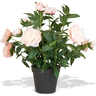 Pfingstrosen - Paeonia Kunstpflanze rosa