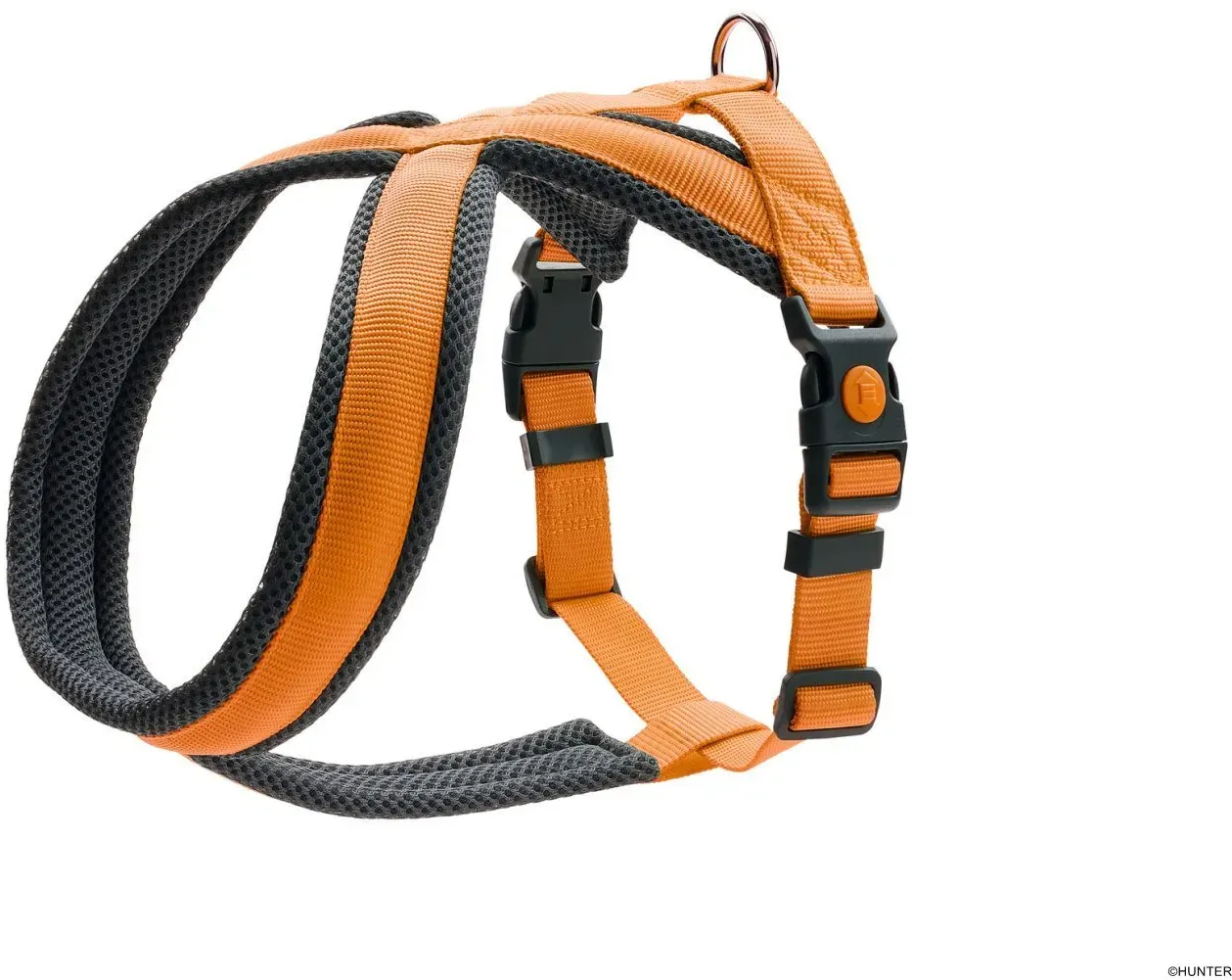 HUNTER Geschirr London Comfort M-L, orange
