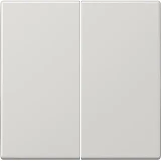 Jung Steuertaste 2-fach LS 1702 LG