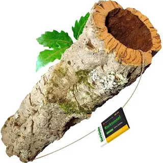 Kork-Deko.de Kork Kork Korkrinde in verschiedenen Größen Formen Terrarien, Deko Basteln