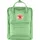 16 l apple mint