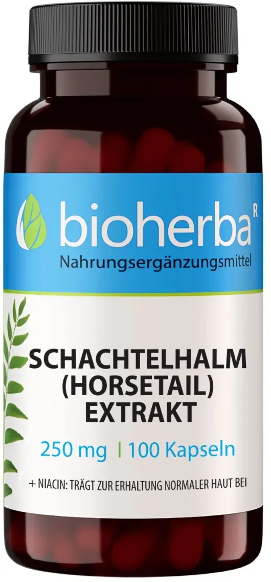 Schachtelhalm Horsetail Extrakt 250 mg 100 Kapseln