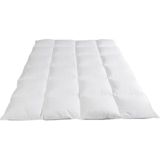 Böhmerwald Kassettendecke Elegance 100% Daunen 8 cm Stege - Wärmestufe 5 Größe 200x200 cm