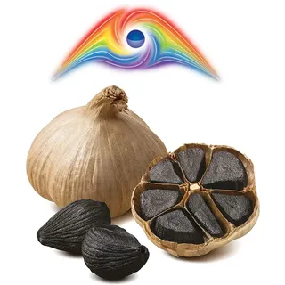 Hymor Schwarzer Knoblauch 1 - 10 Knollen 90 Tage fermentiert Spanien Las Pedroñeras - 6 Knollen