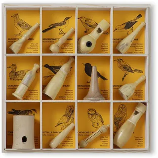 KOOKOO Vogelpfeifen 12er Set, Handgefertigte Instrumente für Naturgeräusche, Vogelstimmen-Imitation mit Aufbewahrungsbox (12er Set)
