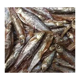 SAHAWA® getrocknete Fische für Wasserschildkröten, Fische, Nager, Hunde (10000 ml)