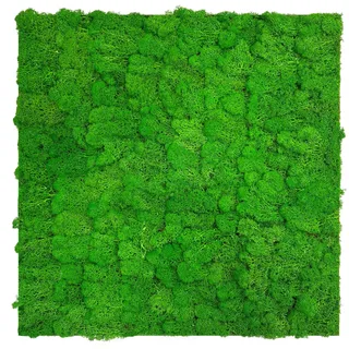 52 x 52 cm rich green