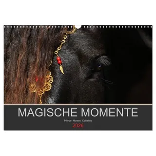 Calvendo Magische Momente - Pferde Horses Caballos (Wandkalender 2026 DIN A3 quer), CALVENDO Monatskalender: von Petra Eckerl Tierfotografie www.petraeckerl.com/