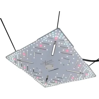 BloomStar FluxShield Babo 450E | 150 Watt