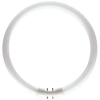 Philips Master TL5 Circular 60W/840 2GX13