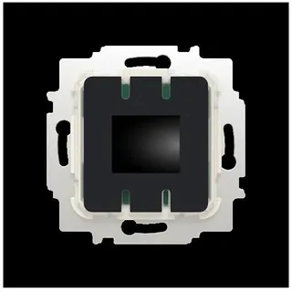 Busch-Jaeger Raumtemp.-regler Einsatz "Heizen/Kühlen" mit Display Bluetooth 2CKA001032A0539