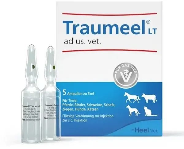 Traumeel T ad us. vet. ampoules (5x 5ml)