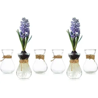 Kleine Vasen Für Tischdeko 6er, Hewory Vase Glas Blumenvase Klein Glasvase Mit Schnurseil, Mini Vasen Set Hydroponik Glasvasen Für Wohnzimmer Deko Modern Hochzeitsdeko Tisch Transparent