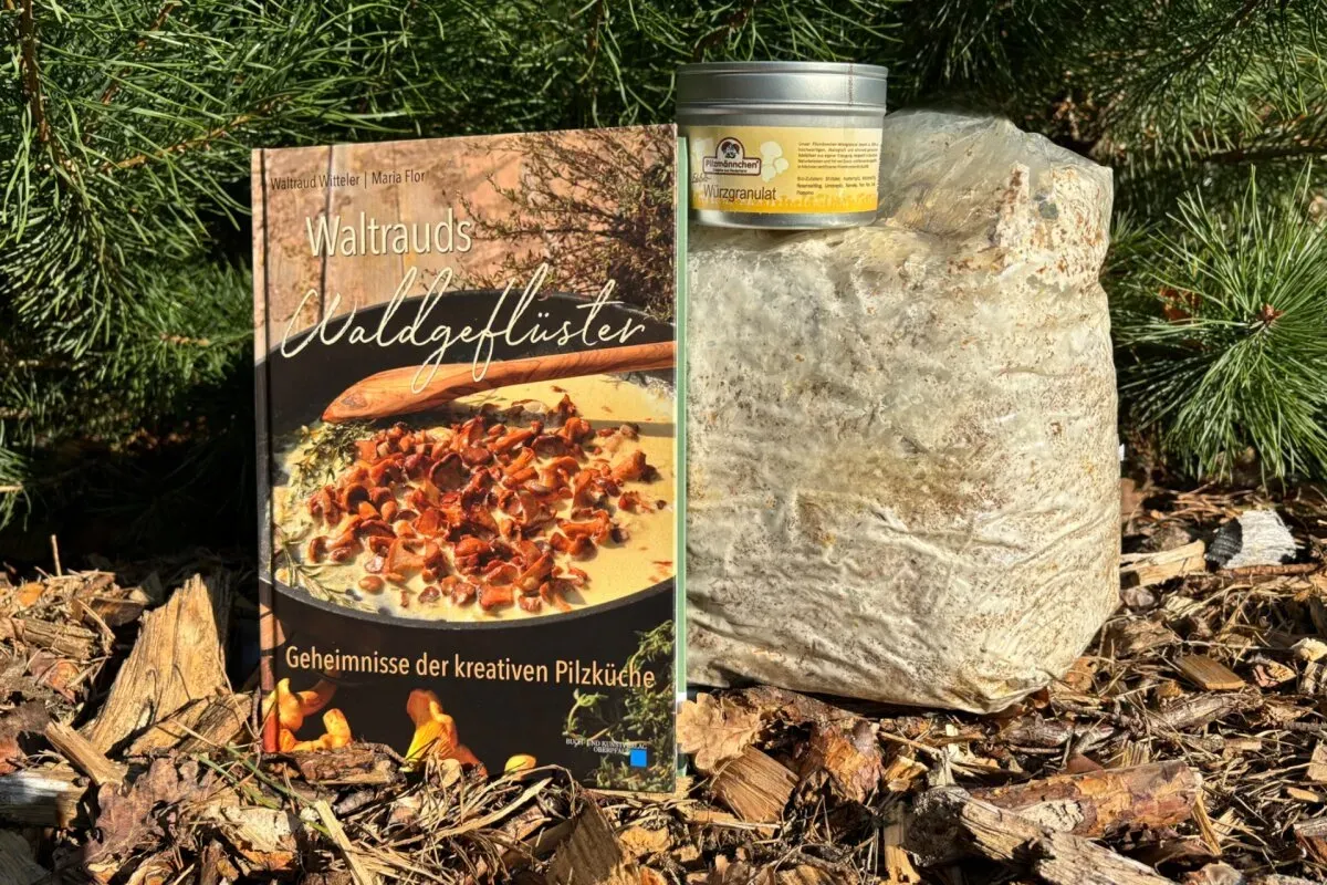 Feinschmecker-Genuss-Set Bio Austernseitling inkl. Präsentkarton