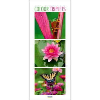 Korsch Verlag Colour Triplets 2026