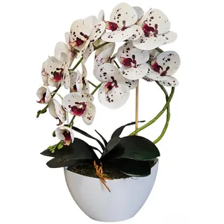 damich Künstliche Orchidee im Blumentopf Pflanze Künstliche Blume Kunstorchidee Dekoration 2-Blütenzweige Höhe ca. 50cm (Mehrfarbig)