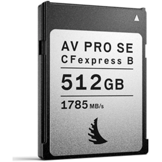 Angelbird AV PRO SE Type B 512 GB