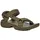 olive 43