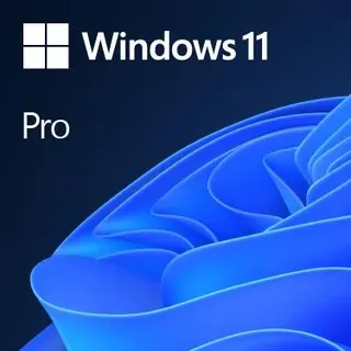 Microsoft Windows 11 Pro DVD NL