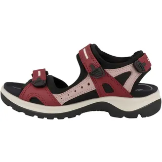 chili red damast rose 36