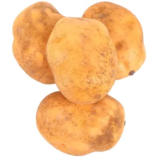 Levemolo Künstliche Kartoffeln Modell Ornamente 4Er-Pack Realistische Textur Schaumstoff Gemüsemodell Dekoration für Küche Restaurant Geschäft Markt Lernspielzeug