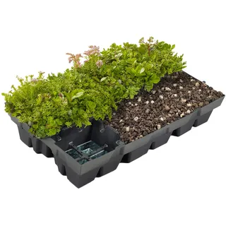Dachbegrünung Plantile 12 m2 - 22 m2