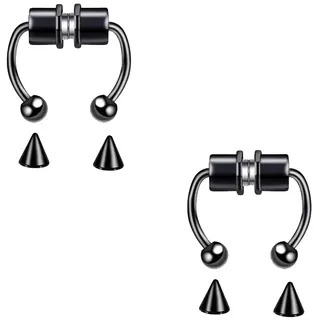 LuLiyLdJ 2 Stück Magnetischer Nasenring aus Edelstahl, wiederverwendbar, falsche Septum-Piercing, für Damen und Herren, 2 Stück