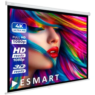 eSmart Economy EXR Rollo Leinwand 240 240 (134") 1:1