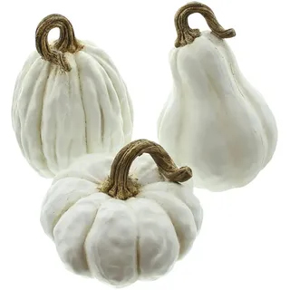 Frank Flechtwaren Kürbis White, 3er Set, schöne Herbstdeko, ausgefallen, modern