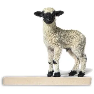 BigDean Zugluftstopper für Fenster 120cm - 100% Schurwolle - Beige - Luftzugstopper Durchzugstopper Windstopper - Made in Germany