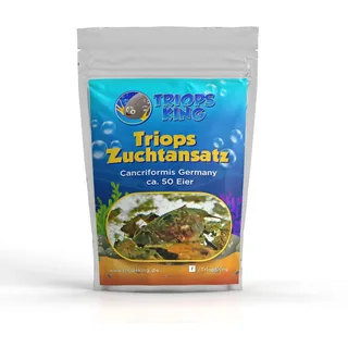 Triops King Triops Cancriformis Germany Zuchtansatz mit ca. 50 Urzeitkrebs-Eiern/Zysten Deutschland - Züchte Deine eigenen Urzeitkrebse bei dir zu Hause im Aquarium
