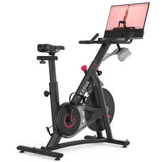 YESOUL G1M Plus Heimtrainer Fitnessbike & Leiser Magnetwiderstand, Bequeme Sitzpolsterung, Fitnessfahrrad mit 21,5" FHD-Bildschirm, - Schwarz