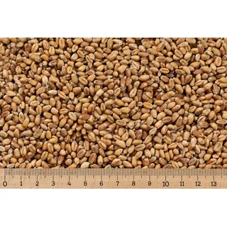 0,73 €/kg 25 kg Weizen ganzes Korn