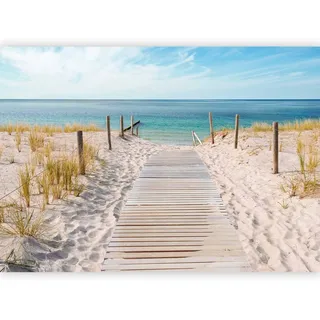 murando - Vlies Fototapete Strandweg 350x256 cm - Foto Tapete Schlafzimmer Wohnzimmer Moderne Vliestapete XXL Wandtapete Motivtapeten Bildtapete 3d Effekt Wand Dekoration - Meer Strand c-A-0054-a-b