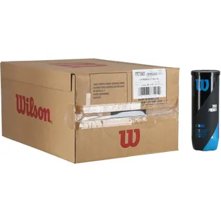 Wilson Tennisbälle Tour Premier Allcourt Dose 24x3er im Karton