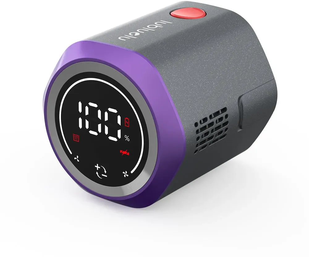 lubluelu 202 Ersatzbatterie - EU