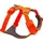 Orange Blaze M