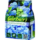Hortensienblau1 kg - blau