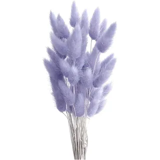 Natürliche Trockenblumen Pampasgras Deko 50PCS Elegantes Pampasgras Klein Trockenblumenstrauß Pampas Gras Getrocknete Blumen Hasenschwanzgras für Vase Büro Wohnzimmer Hochzeit Tischdeko (Hellviolett)