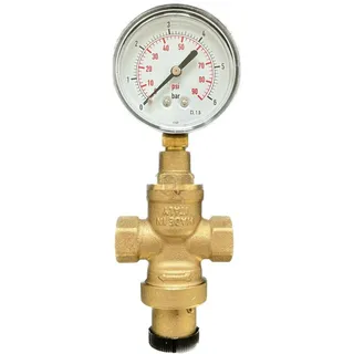 BieTal BieTal® Wasserdruckregler Wasserdruckminderer mit Manometer - 3/8 Zoll IG