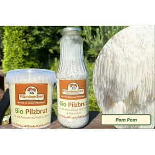 Pom Pom-Pilzbrut BIO 1 Liter