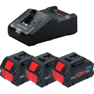 3 x 8,0 Ah Akku + Ladegerät 0615A5004Y