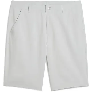 Puma Golf Tech 2.0 Golfshorts Herren 12 - ash gray 31W EU