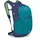 Daypack blue spikemoss/alkaline