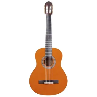 ARROW Gitarre Arrow L2050027